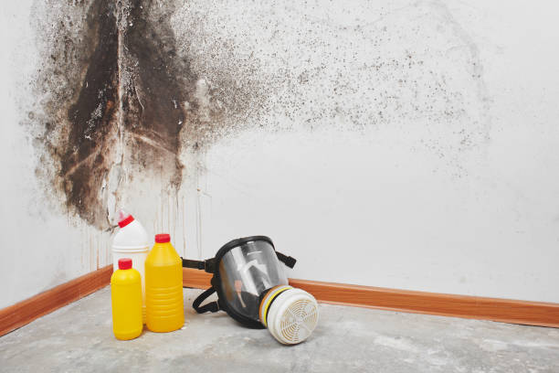 Crawl Space Mold Removal in Morocco, IN