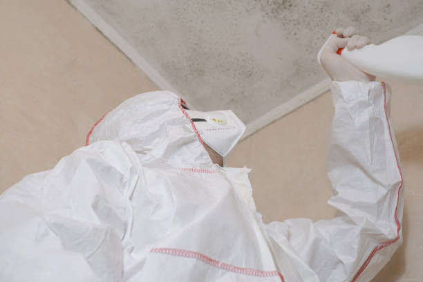 Best Office Mold Removal Services  in Morocco, IN