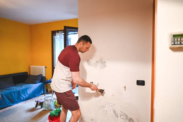 Best Home Mold Removal  in Morocco, IN