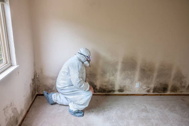 Best Crawl Space Mold Removal  in Morocco, IN